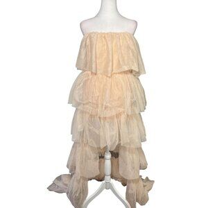 Pink Tulle Romantic Whimsical Ballet Coquette Tiered Ballerina Train Dress Large